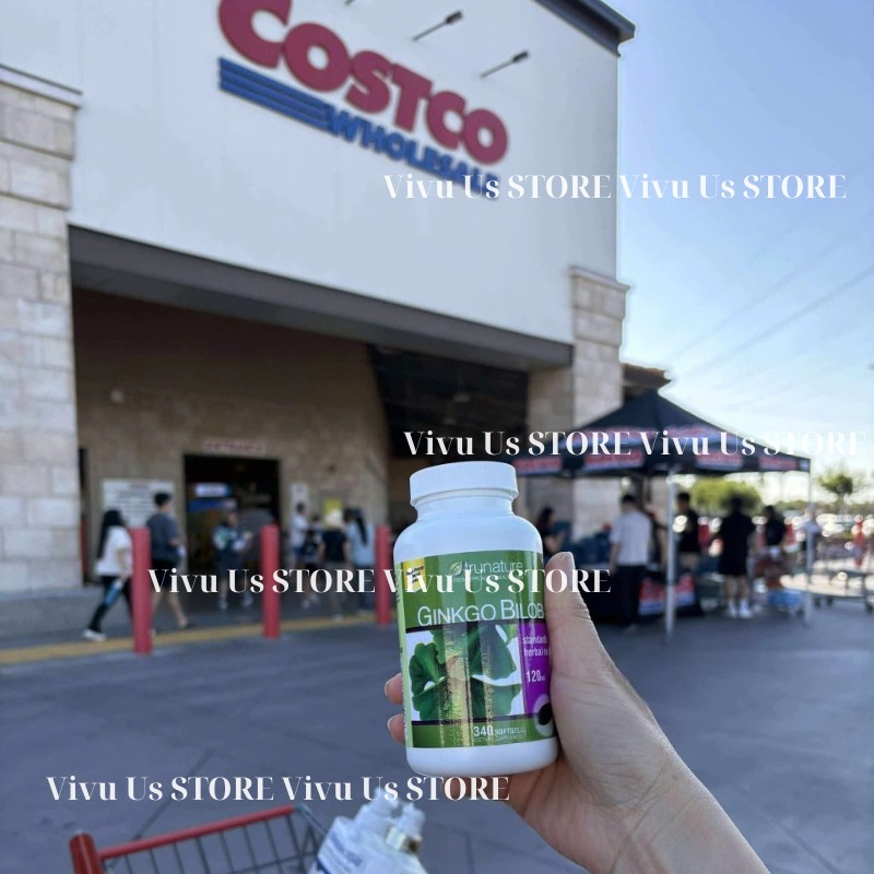 Ginko Biloba 120mg