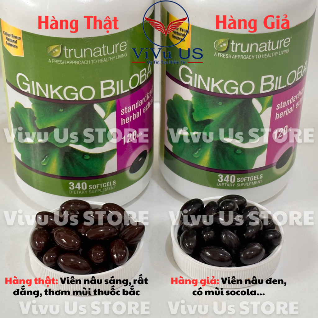 Phân Biệt Ginkgo Biloba Thật Va Giả Mới Nhất