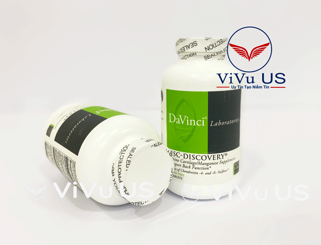 Davinci Disc Discovery