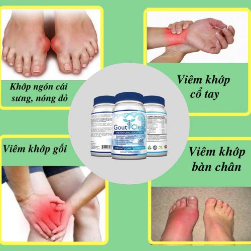 THUỐC HỖ TRỞ TRỊ BỆNH GOUT TỐT NHẤT HIỆN NAY - GOUTCLEAR