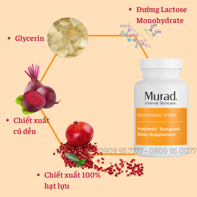 Thành Phần Viên Uống Chống Nắng Murad Pomphenol Sunguard 60 Viên