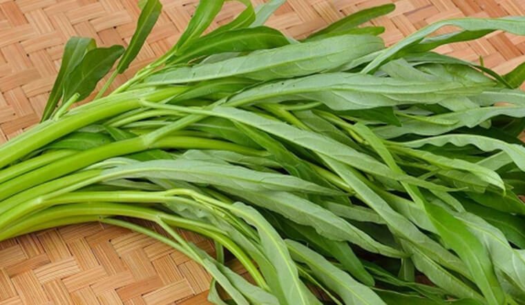 Tuyệt đối kiêng rau muống khi đau xương khớp