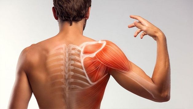 đau nhức xương khớp bả vai