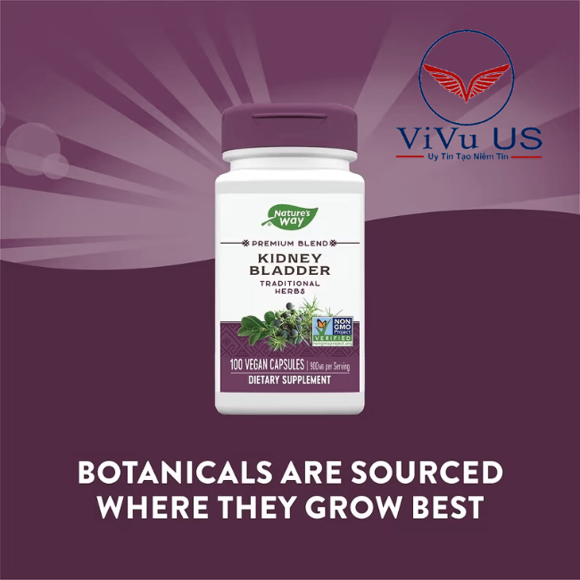 Nature's Way, Kidney Bladder 900mg 100 vien.png