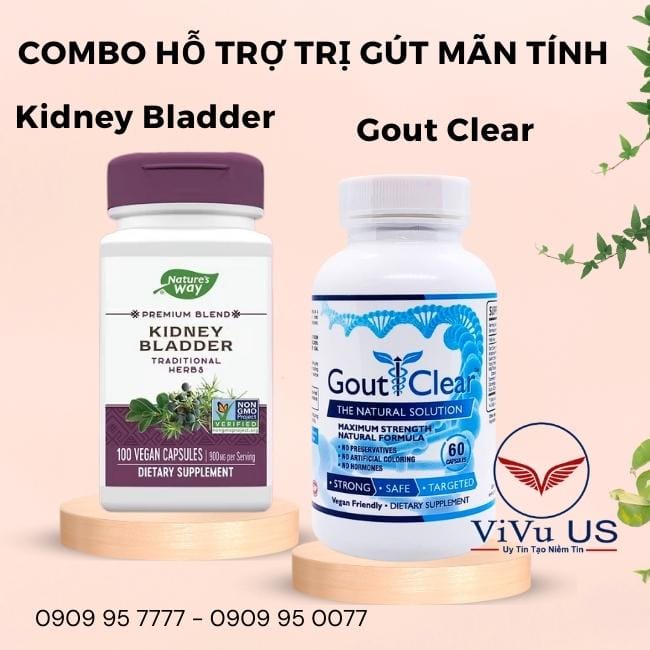 thuoc tri gut Kidney Bladder