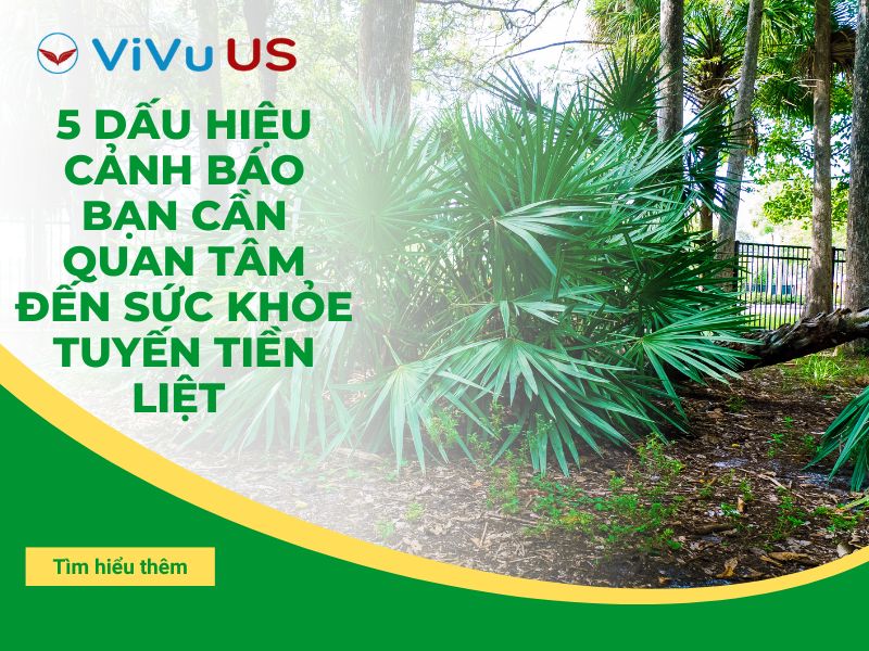 5 Dấu Hiệu Cảnh Báo Bạn Cần Quan Tâm Đến Sức Khỏe Tuyến Tiền Liệt